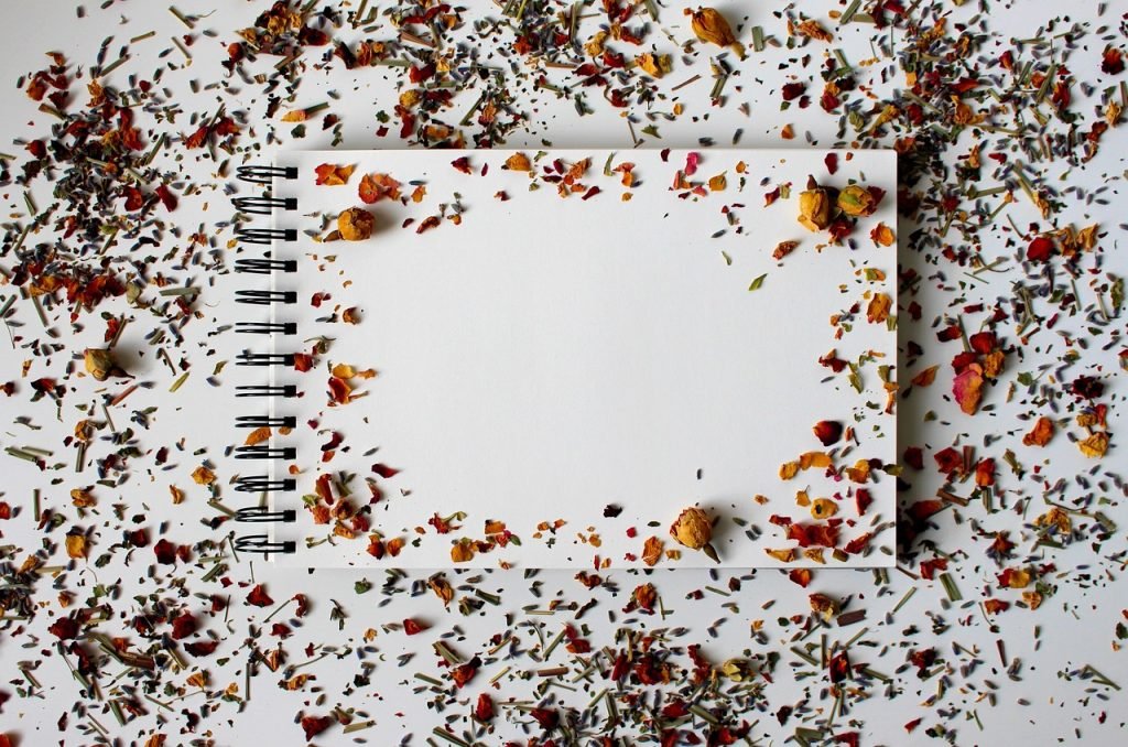 Use Your Sketchbook to Experiment with Tools