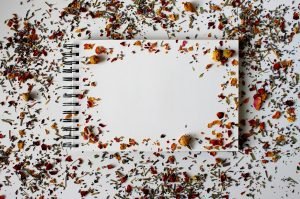 Use Your Sketchbook to Experiment with Tools