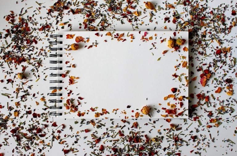 Use Your Sketchbook to Experiment with Tools