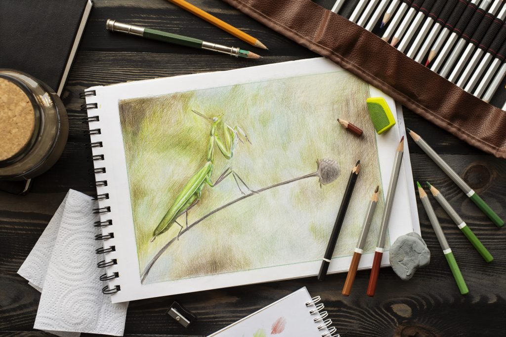 Insects as a Source of Inspiration for Drawing in Your Sketchbooks