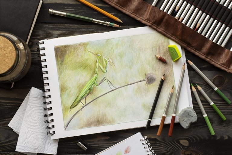 Insects as a Source of Inspiration for Drawing in Your Sketchbooks