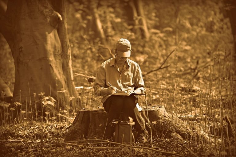 The Pleasure of Sketching in Your Garden