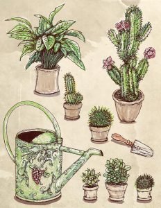 Use Your Own Houseplants as Sketch Inspiration