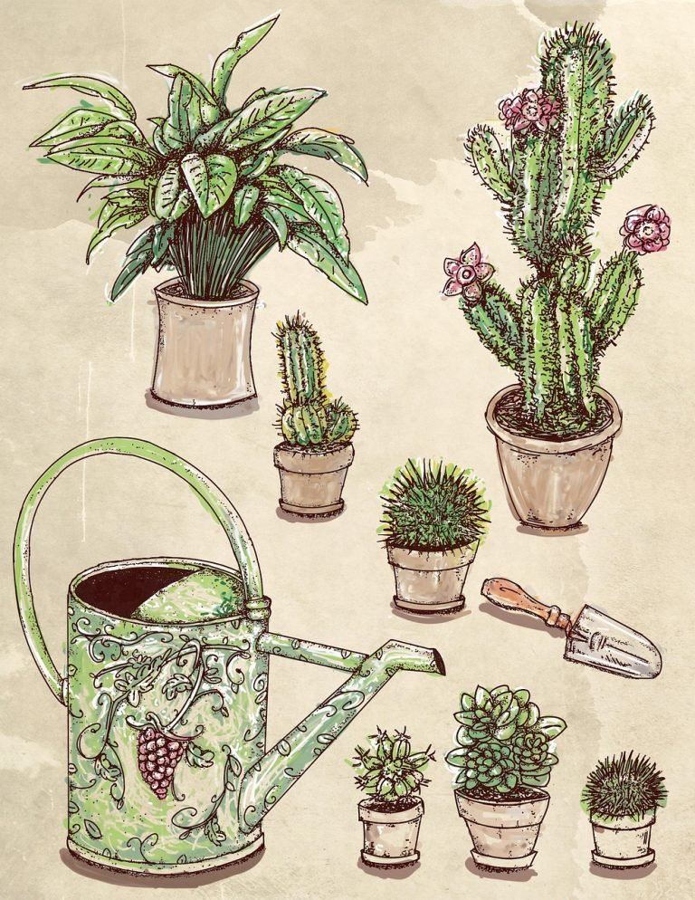 houseplants sketch