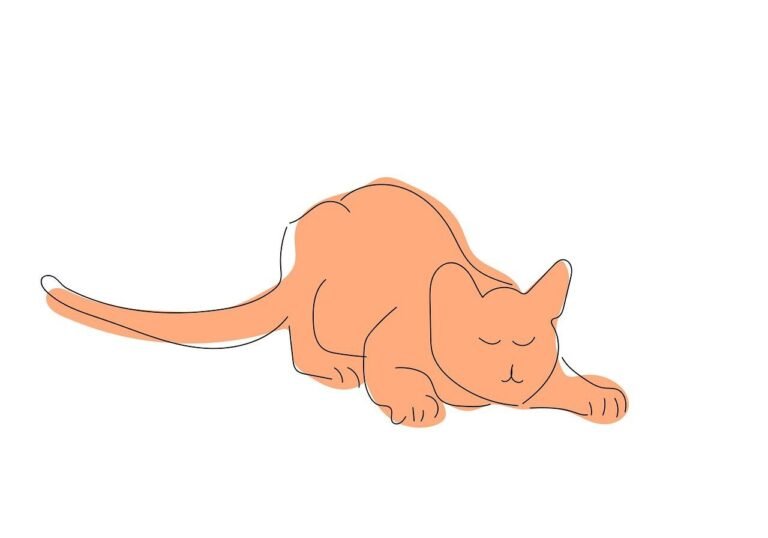 How to Use Blind Contour Fusion to Create Unique Visual Sketches