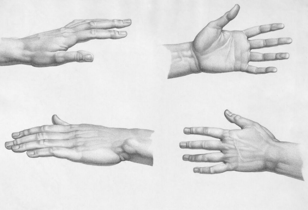 Draw an Expressive Hand | Capture Emotion Through Dynamic Gestures and Anatomy