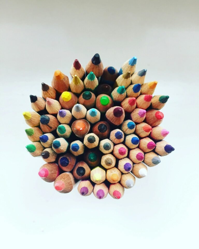 The Different Types of Colored Pencils and How to Start Using Them Effectively