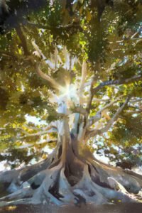 Forest Floor to Canopy | Sketch Challenge
