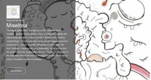 Mawltea and the Anatomy of the Absurd