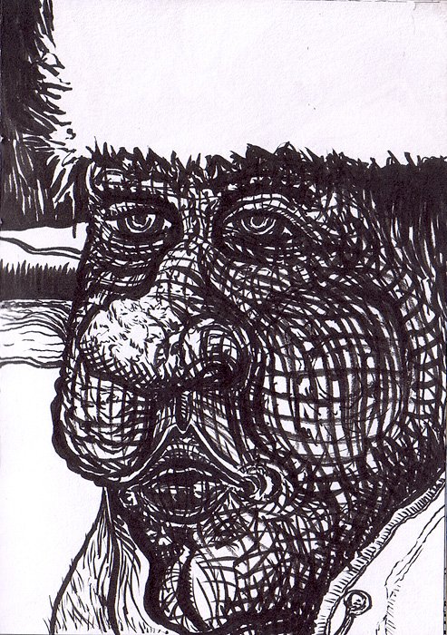 jasonpogo arctic_dude