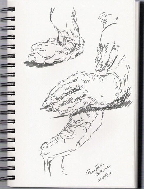 wjpalm palm from bridgman hands 2