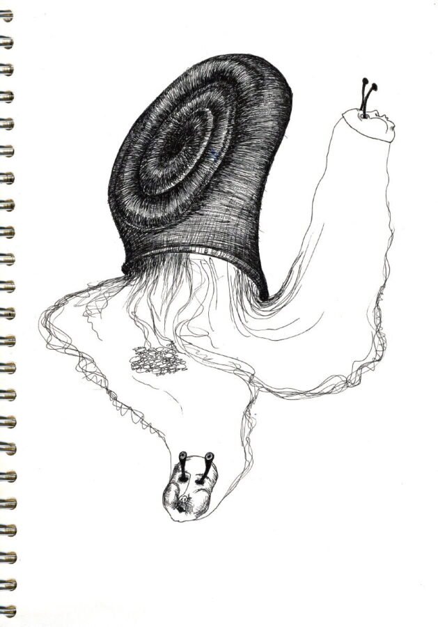 aniapawlik sketch01_aniapawlik_web