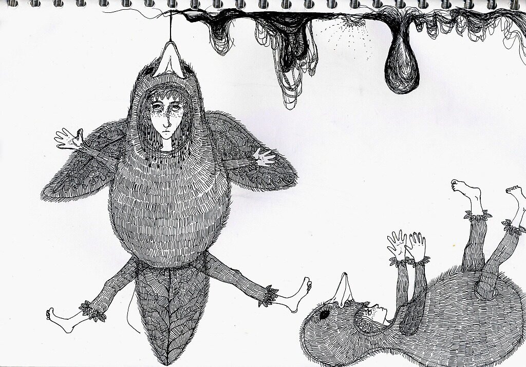 aniapawlik birds problems