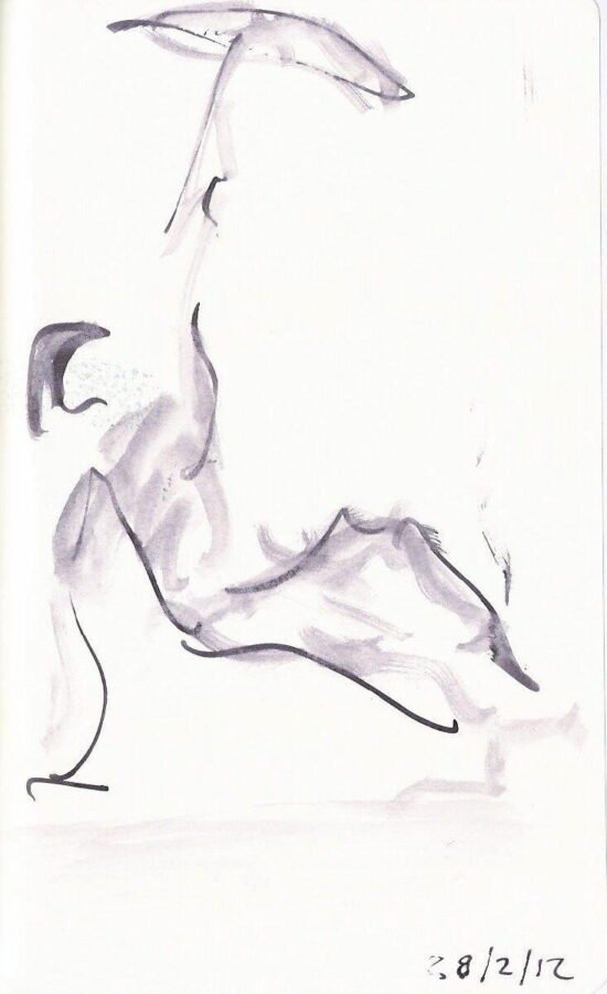 santiagorios danza bultoh escuela de arte 120228 moleskine 21x13 cm hp_scands_122298999