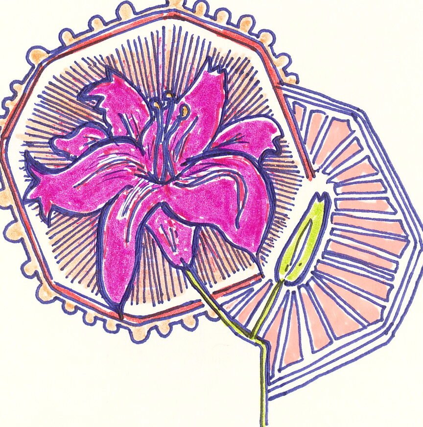 mayfly flowerscolouredpng