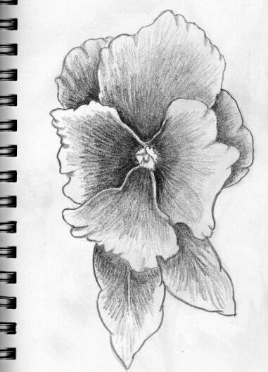 bmatienza-flor1