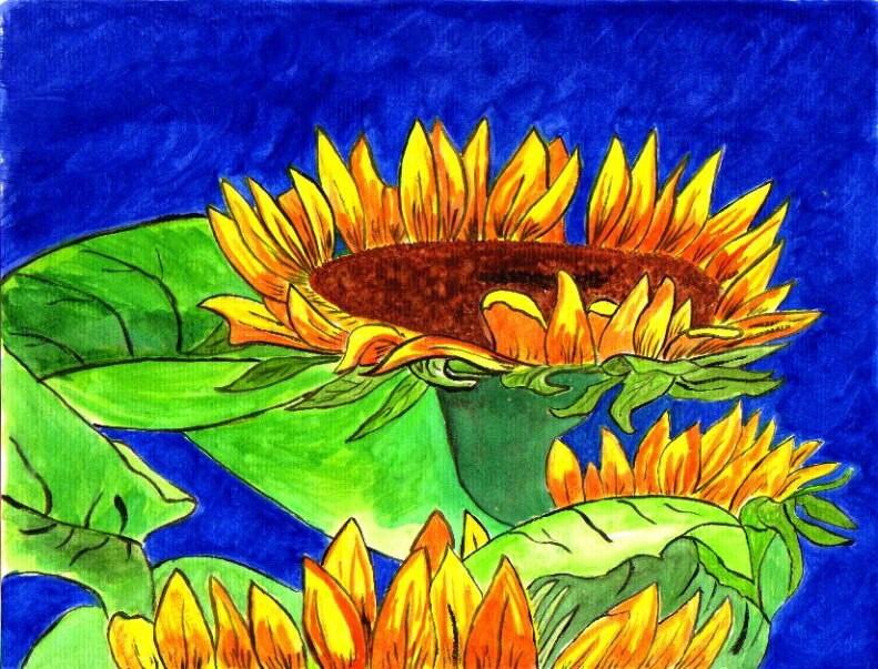 bmatienza-girasoles