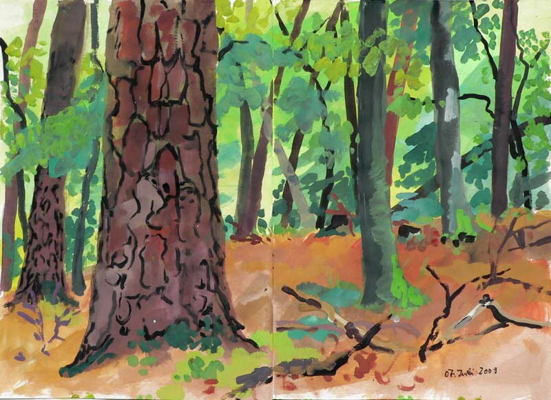 meditionh-p1130641-2