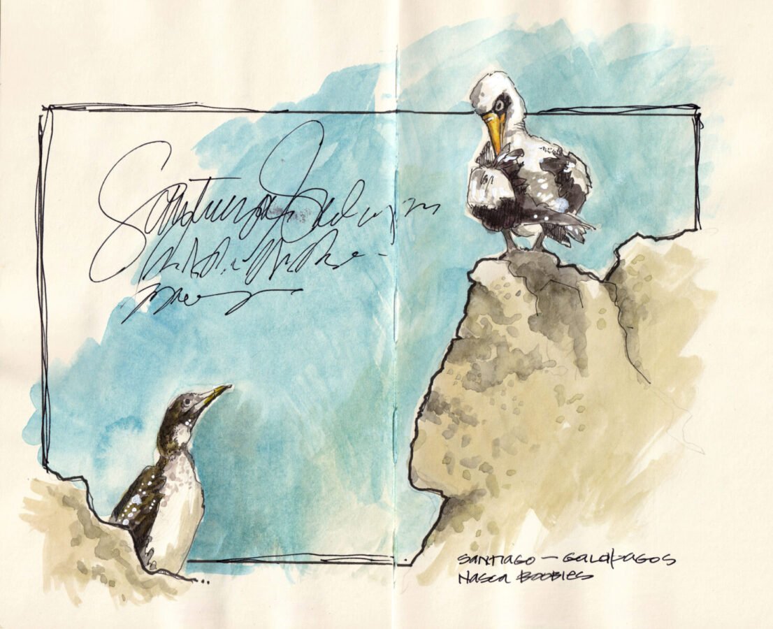 terrigoodness-2025-nasca-boobies