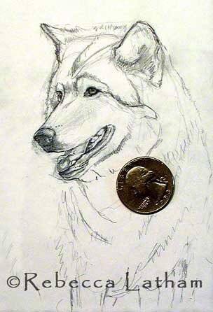 rebeccalatham wolfminisketch0107