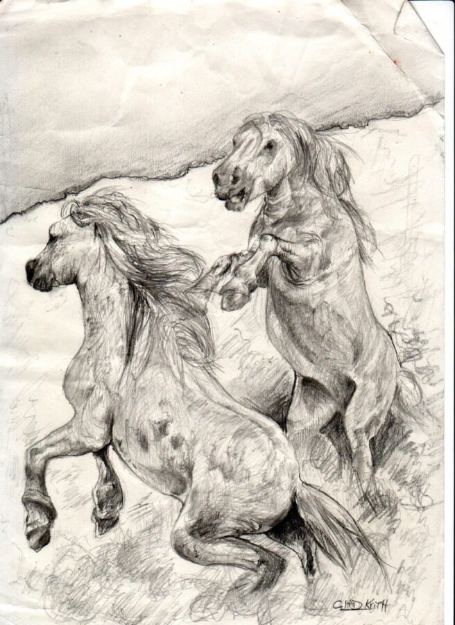 chadlonius-wildhorses