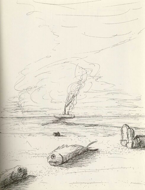 stmcgurin fish on the beach