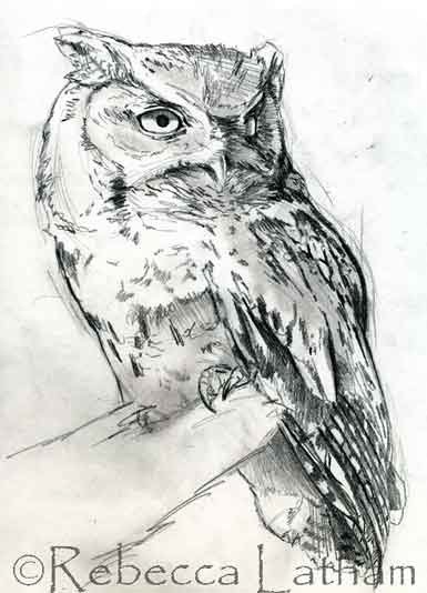 screechowlsketch0207