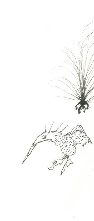 birdart2