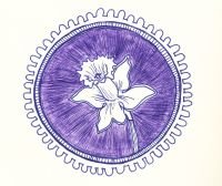 purpledaffodilpng
