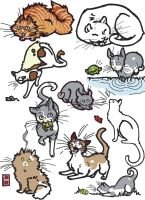collectiveofcats