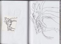 redsketch1_0012
