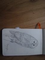 IMG_0727