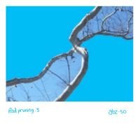 abz.ps.50.ipad-pruning.3