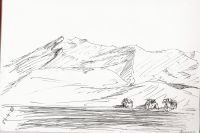 4_marruecos_dunas-y-camellos