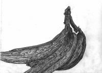 bannanas