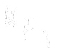 TORSO