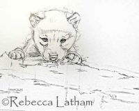REBECCALATHAM