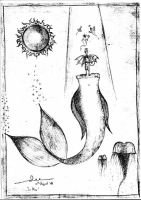 DEERACHMAWATI