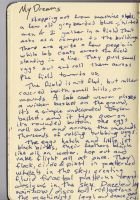 moleskin1_0005