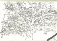 skb-4-2010-treeolife