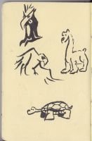 moleskin1_0018