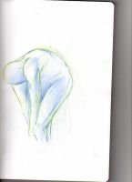 img064