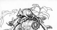 Sketch031226_002