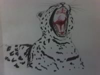 yawning