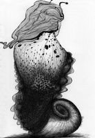 snail-dream_aniapawlik_web