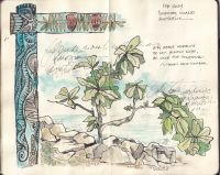 2024-thursday-island