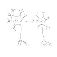 guest-artist-2512071656-sketch