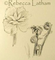 REBECCALATHAM