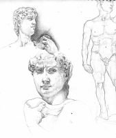 David