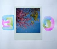 Spring-colors-at-MSJ-64.257